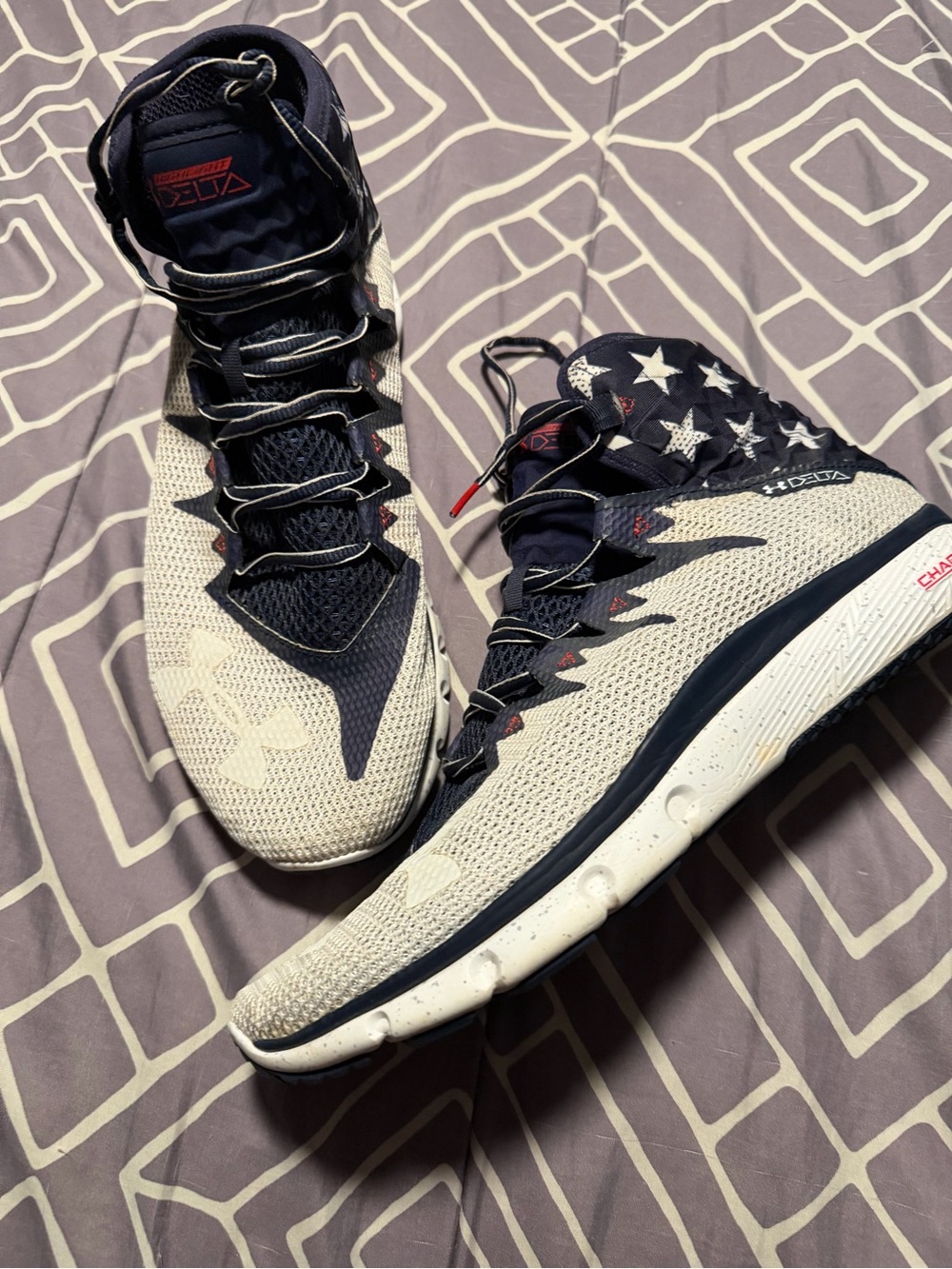Under Armour Delta Project Rock Size 12